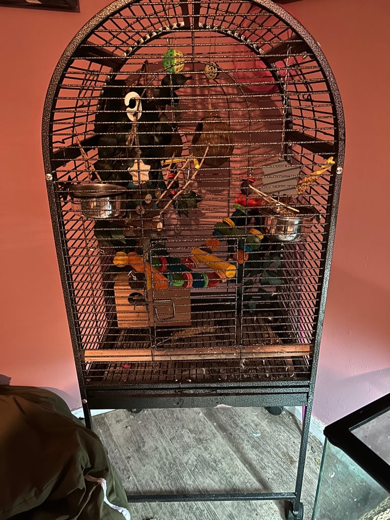 parrot cage with accessories  OPEN TO OFFERS