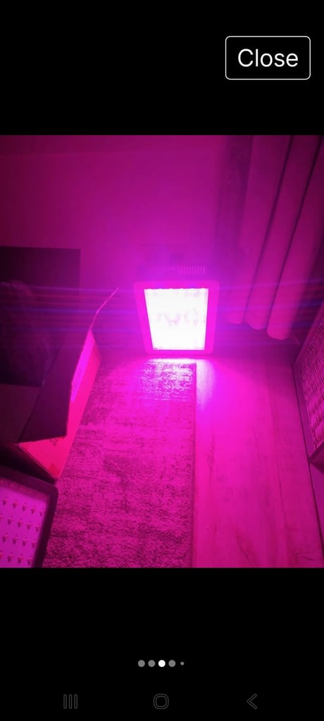 2 x led plant lights