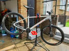 WHYTE 603 MINT CONDTION