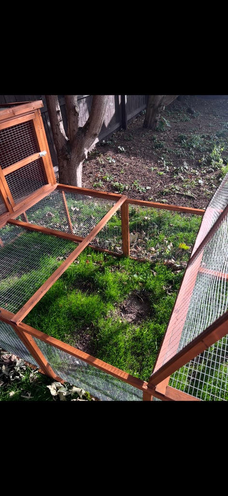Brand new rabbit hutch with run and cover 