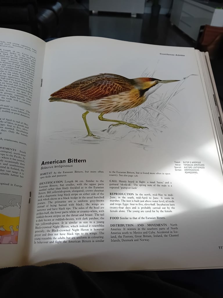 Set of five bird encyclopedia 