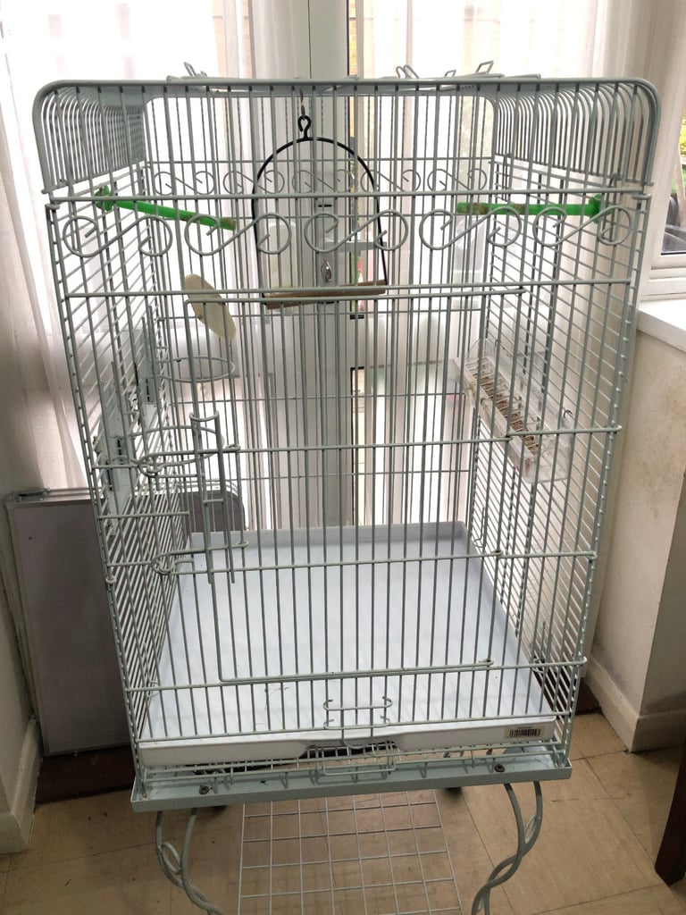 Bird cage 