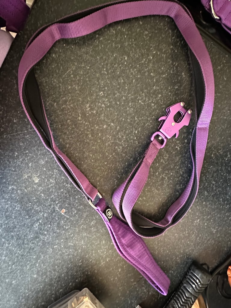 Bullybillows dog lead and harness 