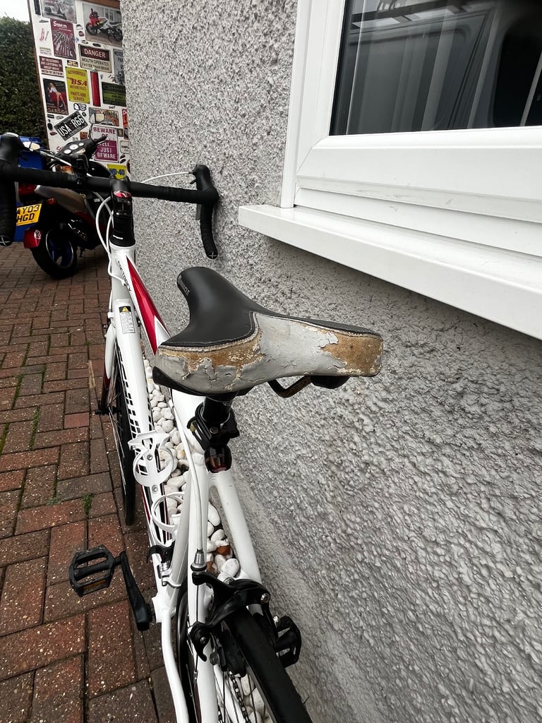 Schwinn fast back 6000 series rd bike 