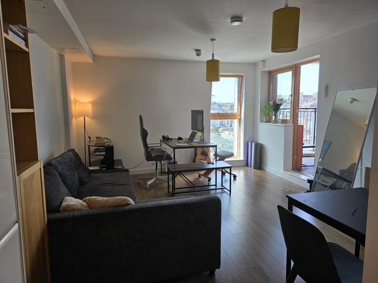 Centre Flat with CastlePark view (short term) 