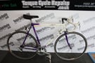  1990 Raleigh Dyna Tech Club 600 57cm Road Racing Bike