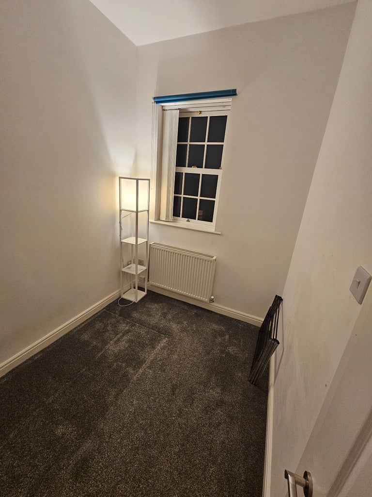 Available room in a luxury apartment 