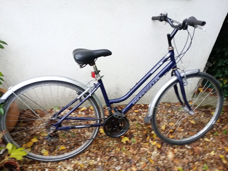 Ladies Professional Downtown bike, 18 speed, 18 inch frame, serviced, good condition