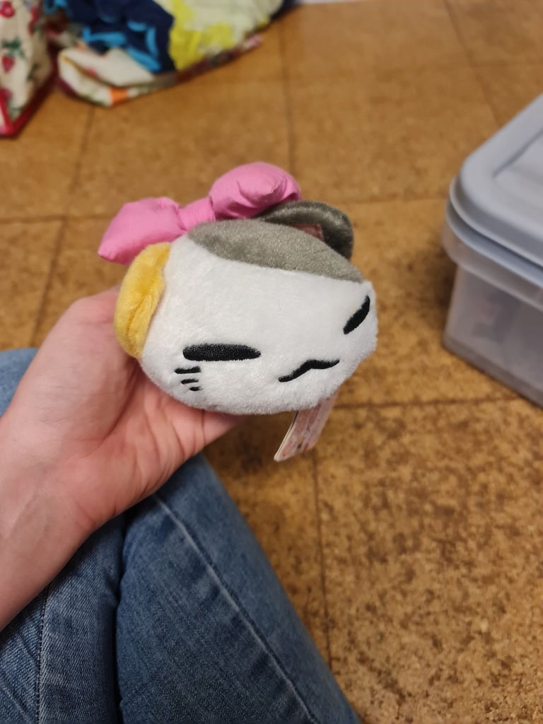 Small cat plush 