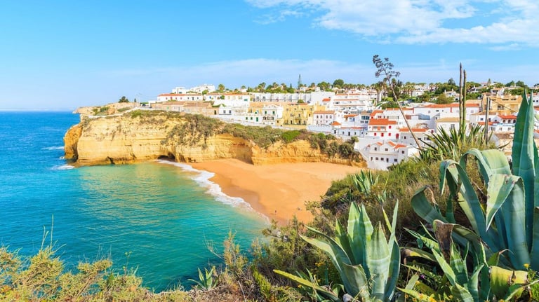 image for Travel partner required for trip to Portugal.