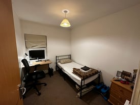 Single room for flexible term
