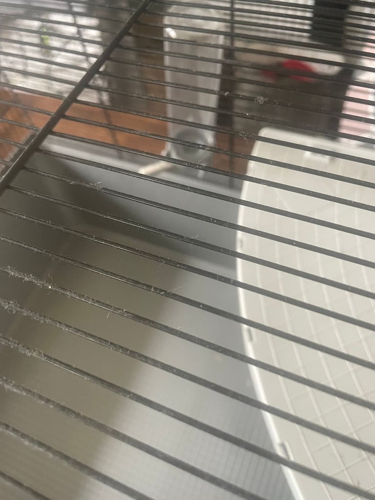 Hamster, Mouse Cage with Hay, Shavings and accessories