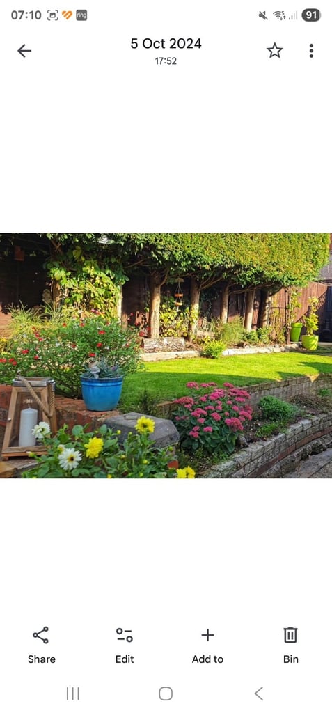 Looking for good tenant?