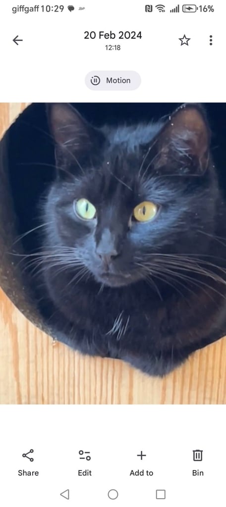 Brother and sister titch & lola 