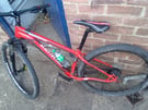 Specialized rock hopper mountain bike 