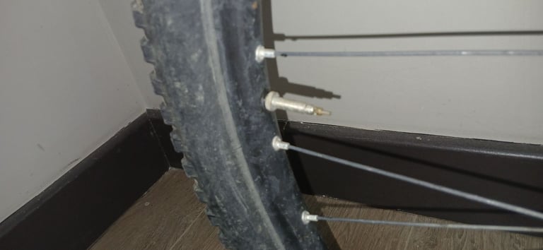 Men's Rockhopper sport Specialized bike