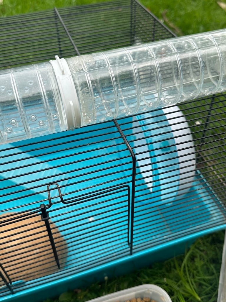 Hamster cage and accessories 