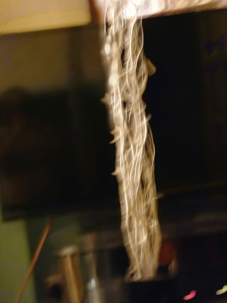 image for Twig like lights in a black vase x 2