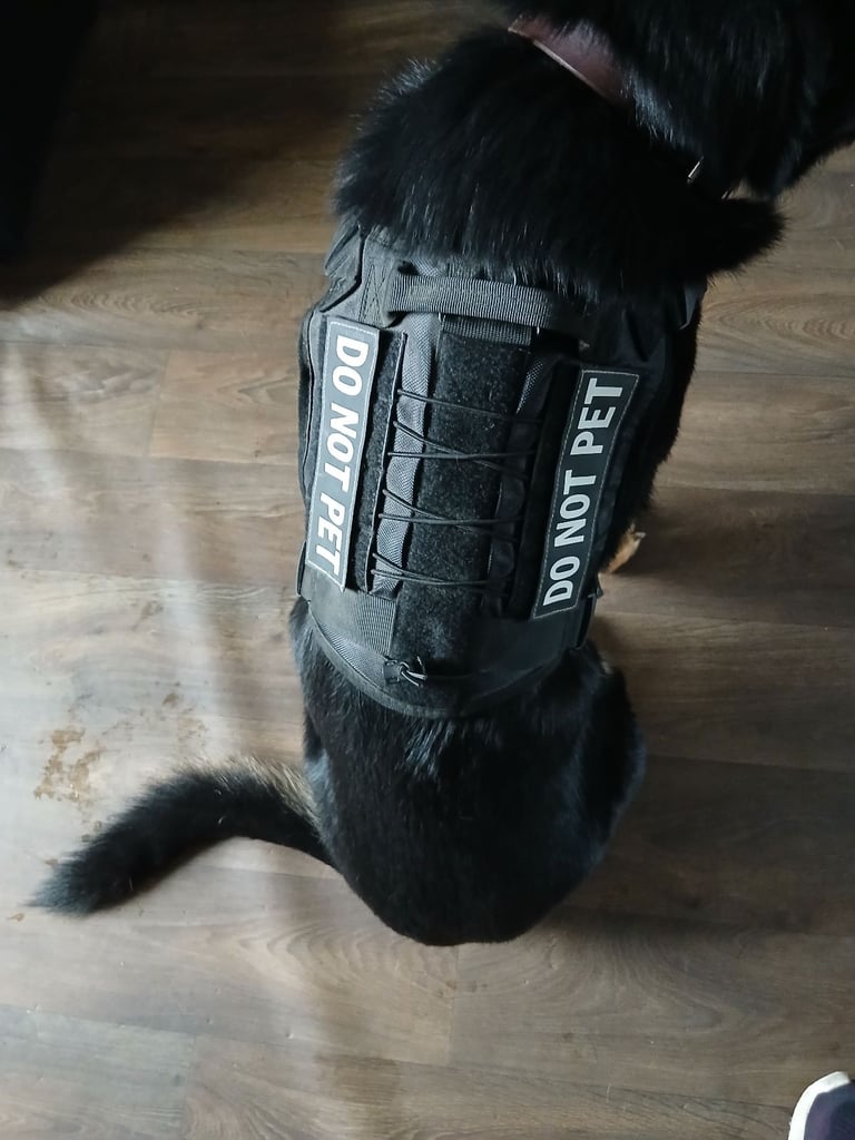 Tactical Harness in Black