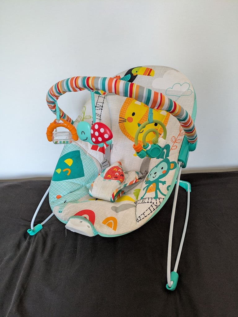 image for Chad Valley baby bouncer