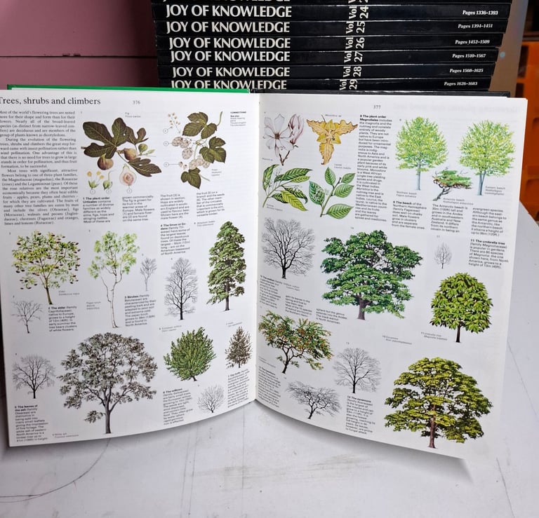 Joy of Knowledge Encyclopaedia 