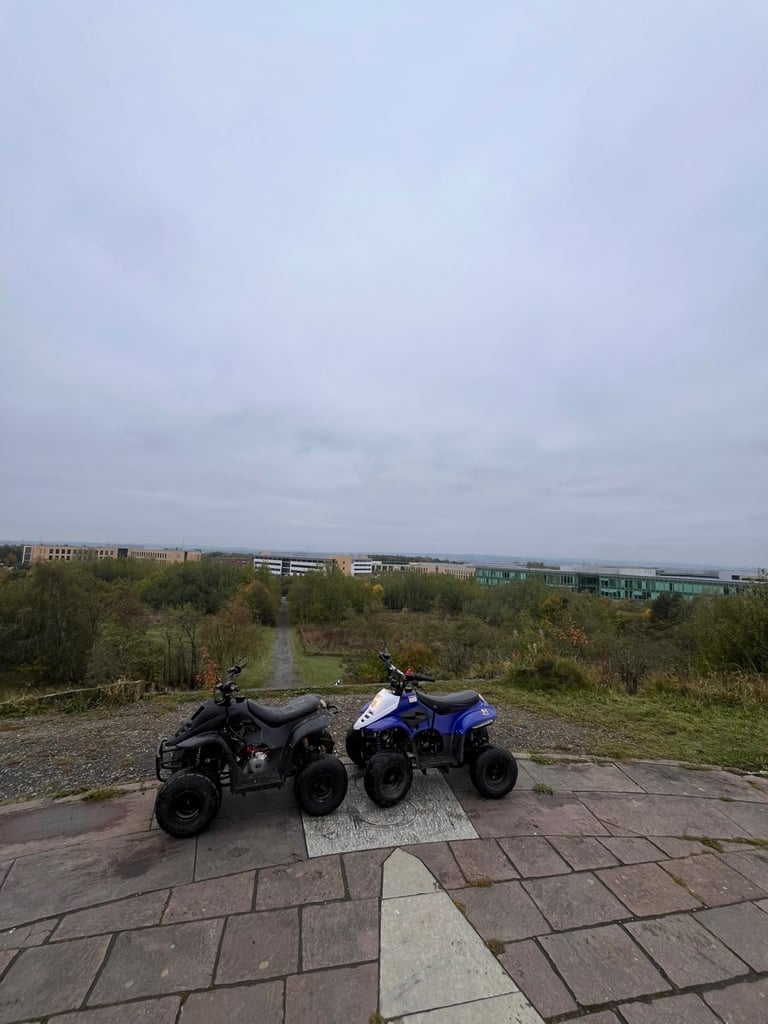 image for 2x 110cc Quads