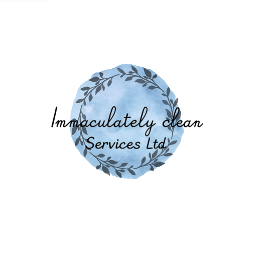 image for Traditional Window Cleaner and Detailer 