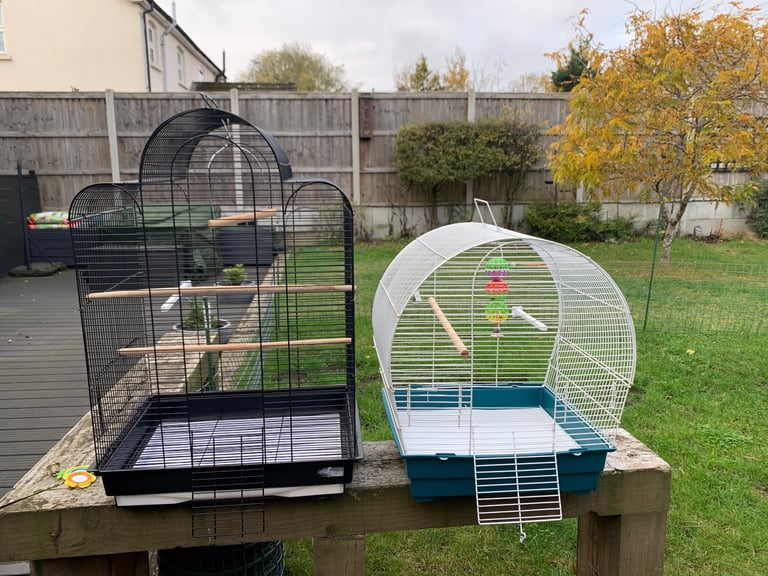 Budgie cages