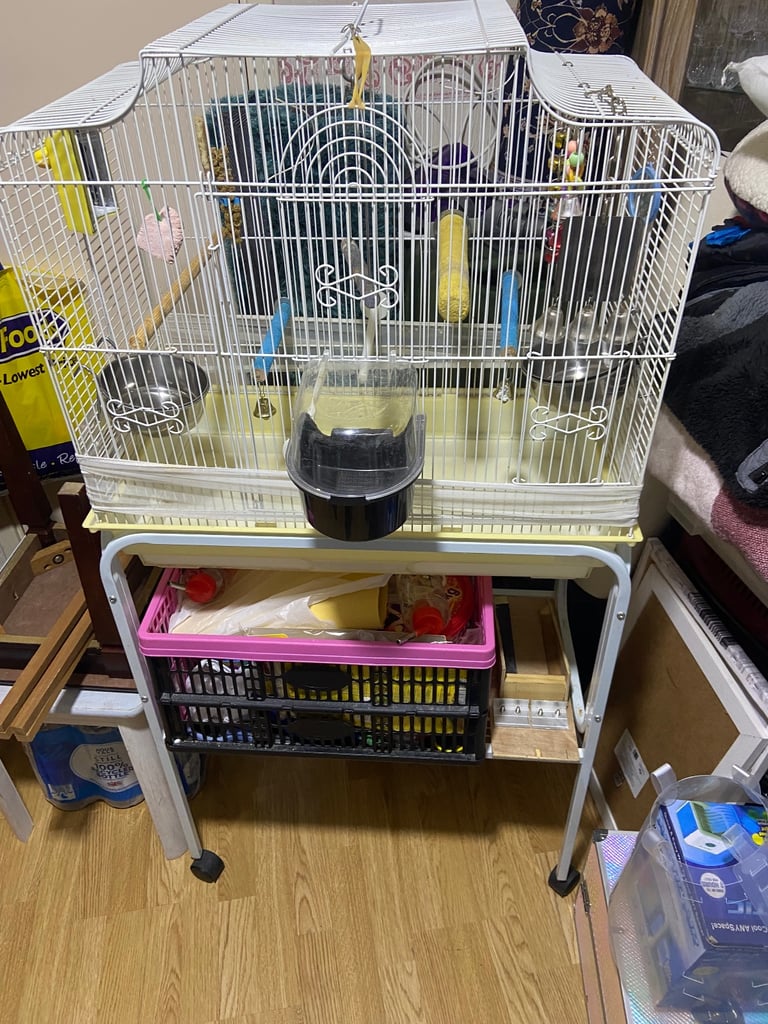Bird cage with stand and all accessories 