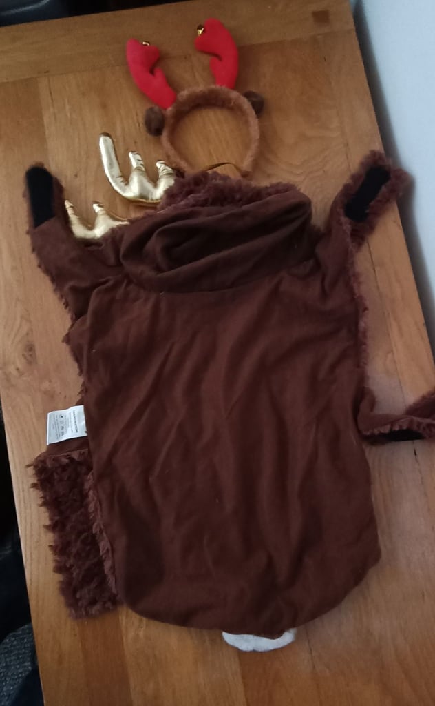 Haloween dog outfits