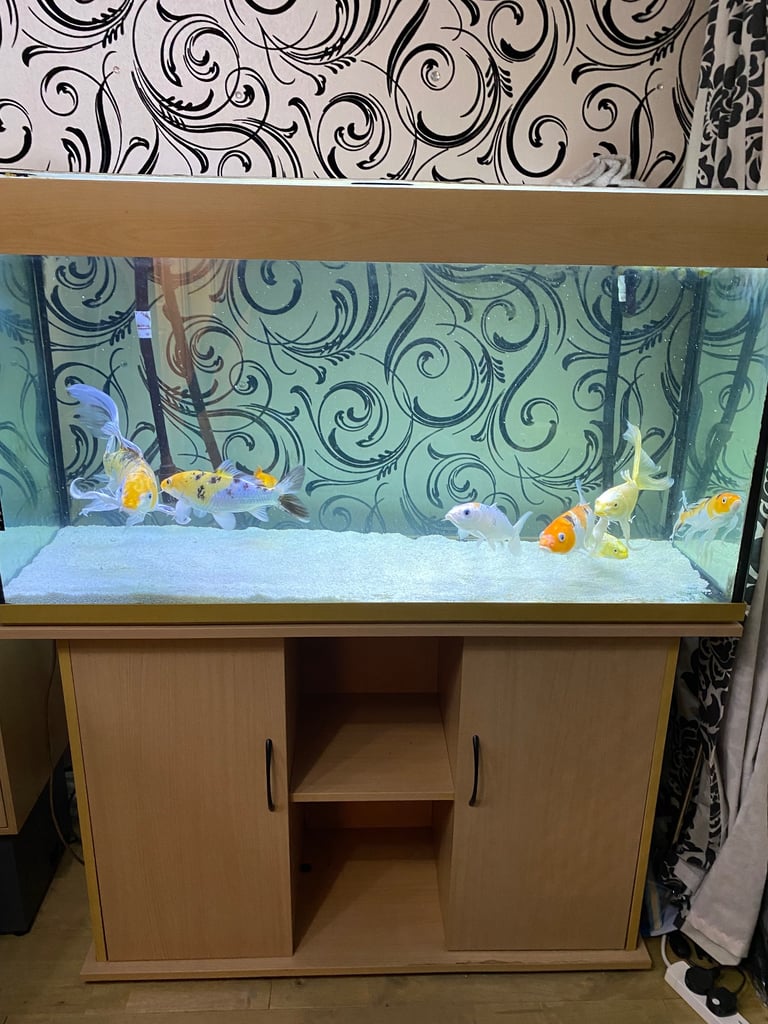 image for Fish tank and fish with cabinet
