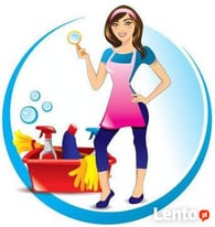 Domestic cleaning and ironing. Guaranteeing 100% Satisfaction