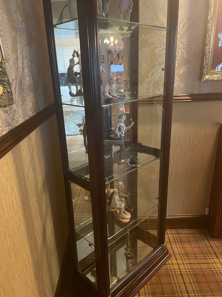 Tall Mahogany Glass unit 