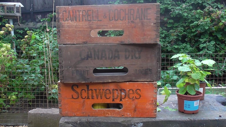 image for Schweppes Crates Wanted Wooden Bottle Boxes Canada Dry C & C etc any amount cash waiting