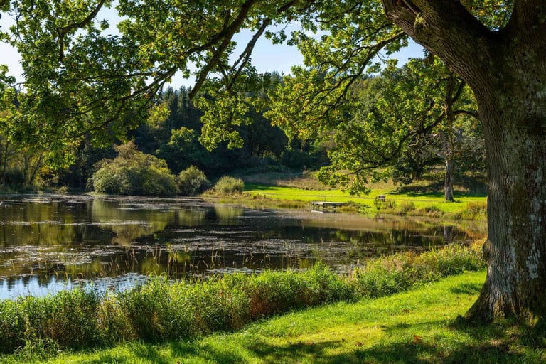 STATIC CARAVAN PARK IN SCOTLAND MOFFAT NEAR GLASGOW DUMFRIES AYRSHIRE EDINBURGH CARLISLE