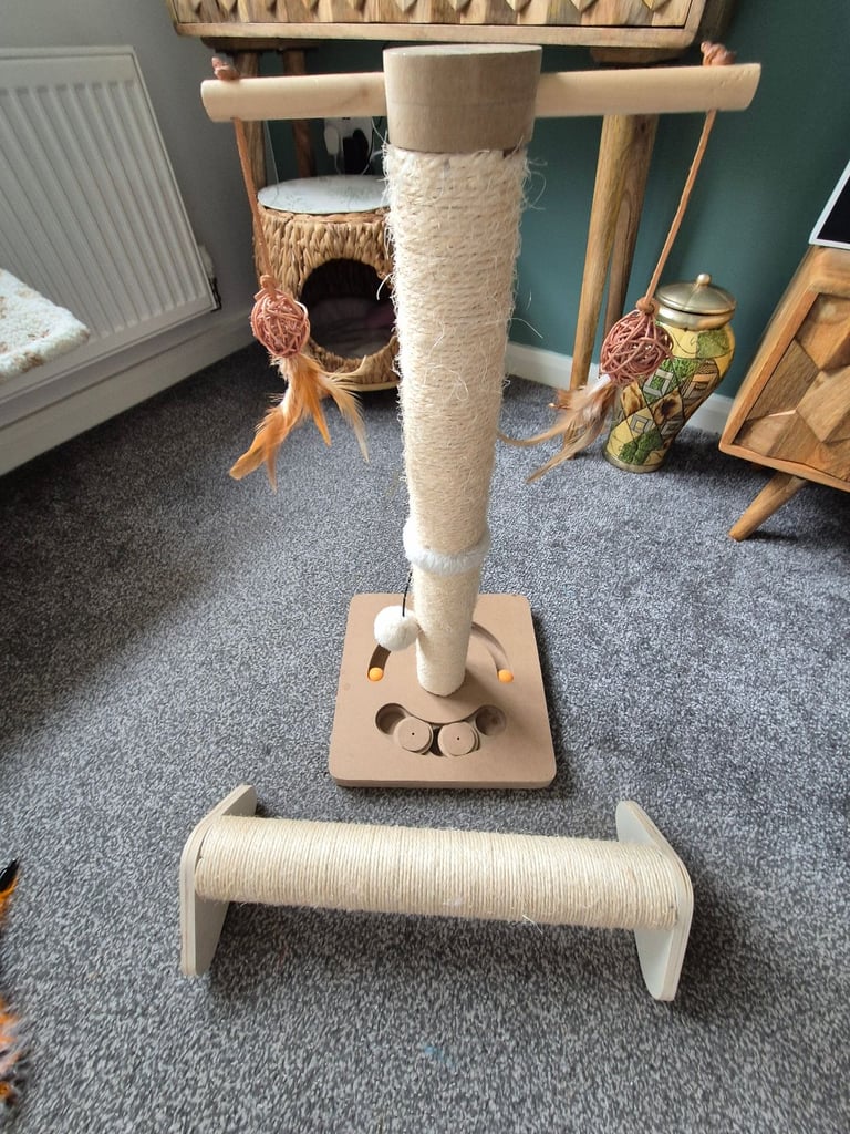 Cat scratch post