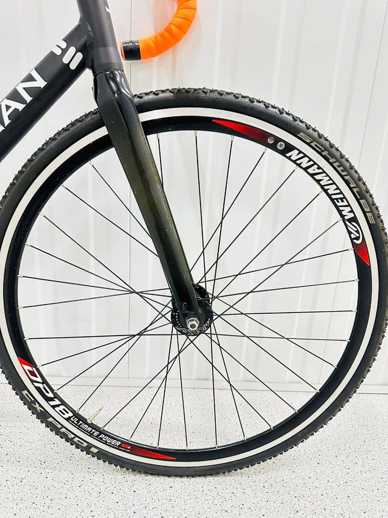 Mint DOLAN ALPINA Size/M  Virtually New Road Track Fixie Bike