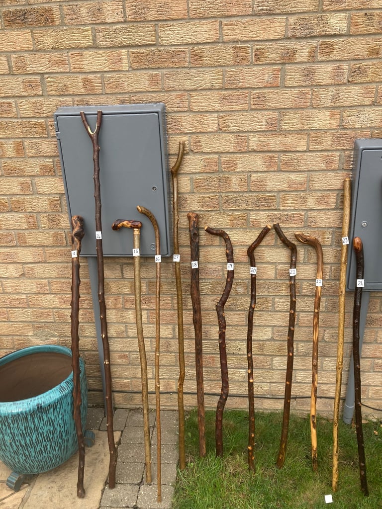 Hiking sticks 