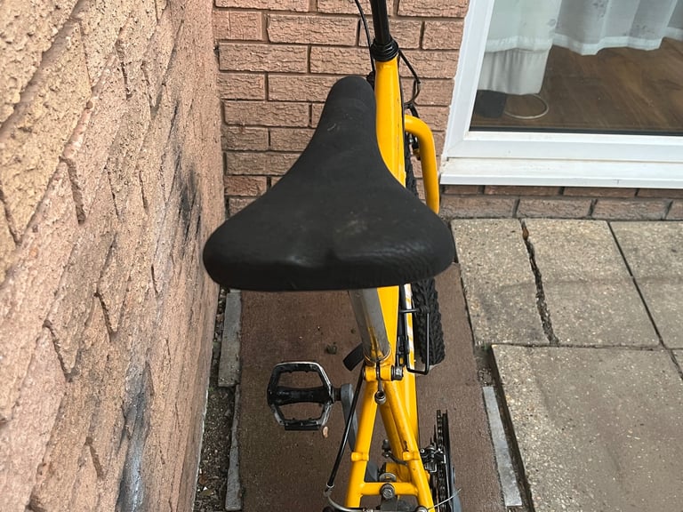 ADULT MEN BIKE DOMAIN IN GOOD WORKING ORDER 