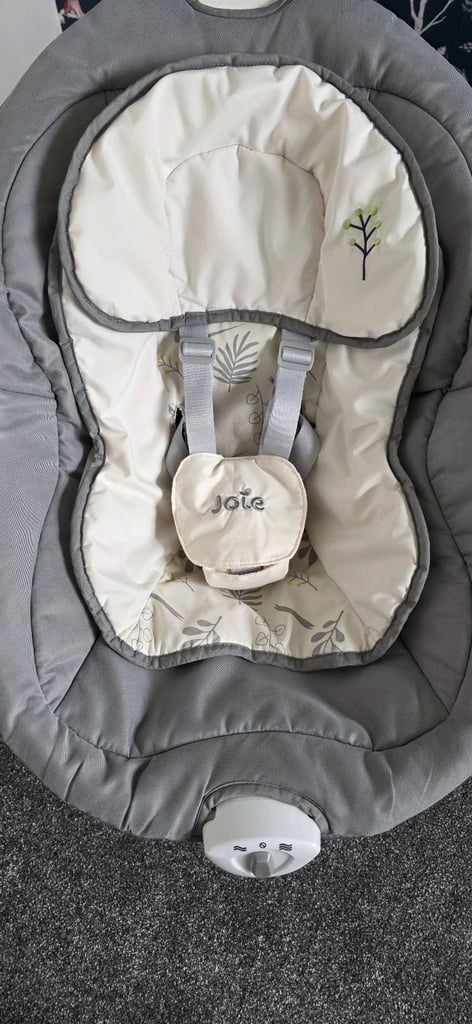 Joie Sansa Baby Swing Chair (twin)