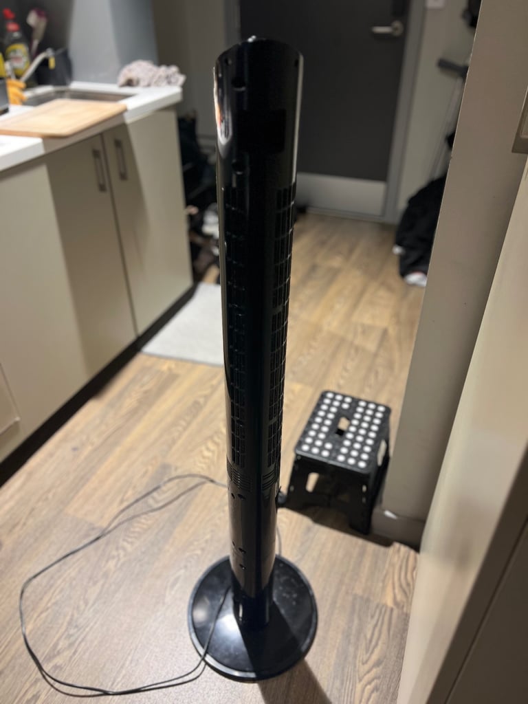 Dimplex Mont Blanc Cooling Fan with LED Display Timer & Remote Control ...