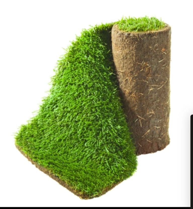 image for 4 rolls of turf