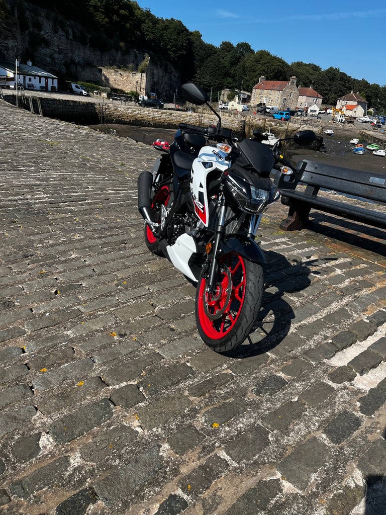 image for Suzuki, GSX-S, 2024, 124 (cc)