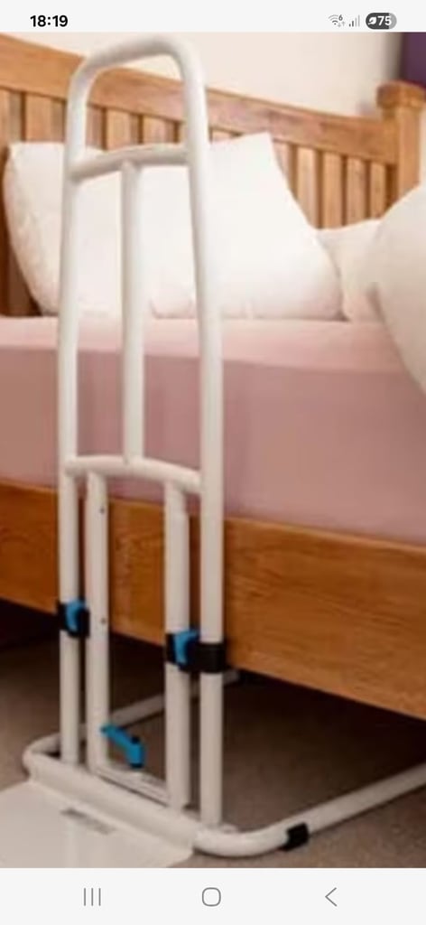 disability bed rail