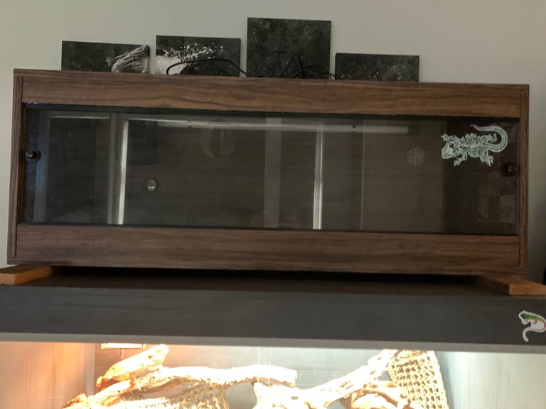 4ft vivarium 