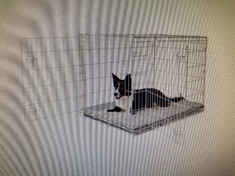 Dog Crate Double Door EXTRA LARGE