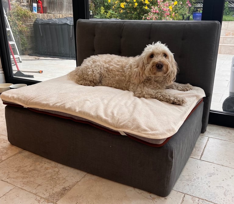 Luxury sprung dog bed and mattress 