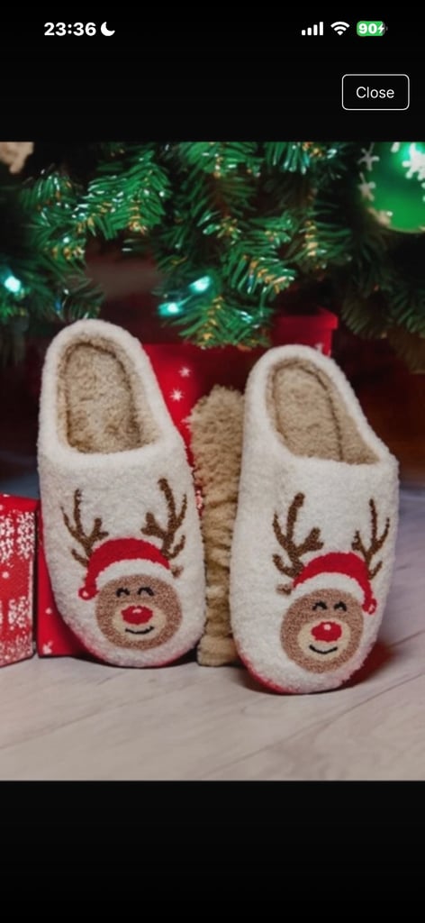 Christmas slippers 
