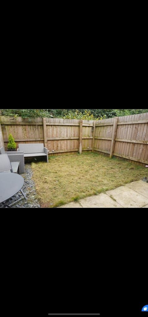 2 bedroom house to rent