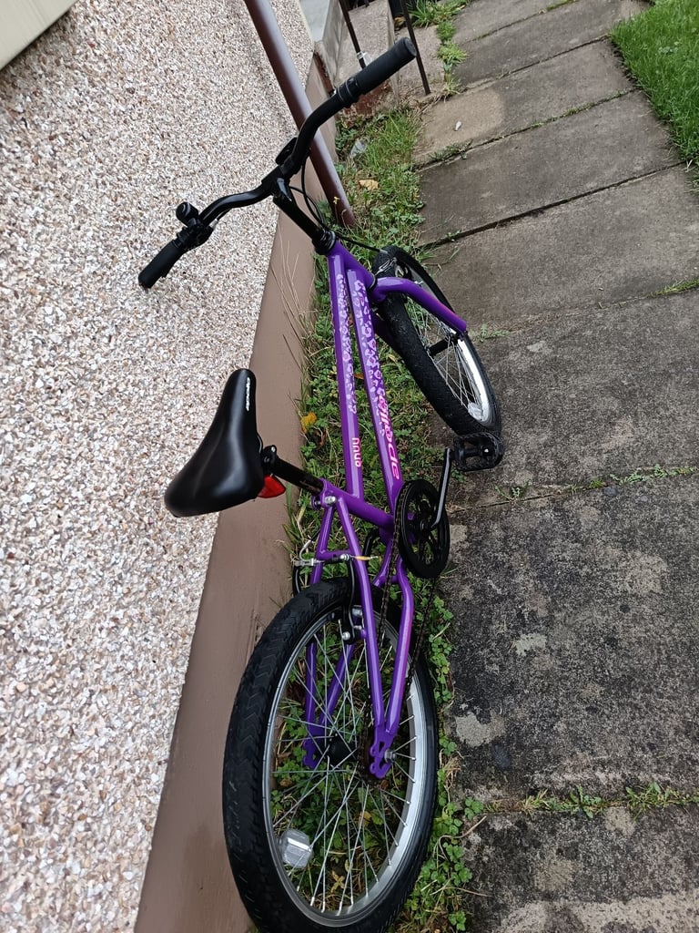 Apollo Junior bike 20 inch